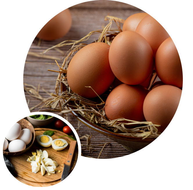 O našich produktoch